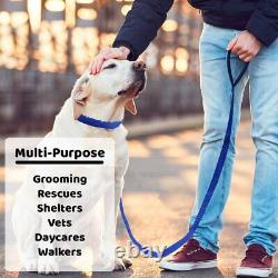 BULK PACK 4 6FT SLIP LEADS Dog Pet Grooming Kennel Animal Control Shelter Leash
