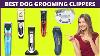 Best Dog Grooming Clippers For Every Type Of Dog Help You Save Time And Money