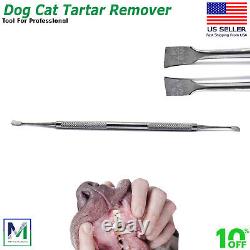 Dental Tartar Calculus Remover Teeth Plaque Scaler Pets & Dog's Grooming Tool