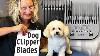 Dog Grooming Clipper Blades Everything You Need To Know