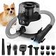 Dog Grooming Kit Low Noise Wholesale Pet Hair Vacuum Cleaner Dog Dryer Removal