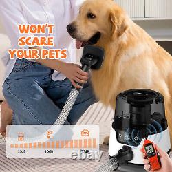 Dog Grooming Kit Low Noise Wholesale Pet Hair Vacuum Cleaner Dog Dryer Removal B