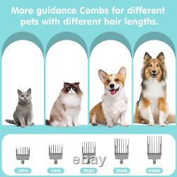 Dog Grooming Kit Pet Grooming Vacuum 6 in 1 Dog Clippers for Grooming 11000Pa