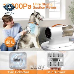 Dog Grooming Vacuum, Dog Grooming Kit, 12000Pa Strong Pet Grooming Vacuum for Dog