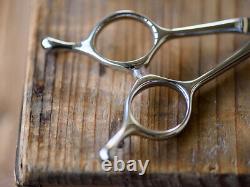 Dog pet trimming curved scissors made in Japan DTR-70K right-handed 7 inch NEW