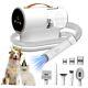 Pet Grooming Vacuum & Dog Hair Vacuum, 12000pa Powerful Pet Grooming Kit With