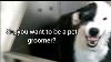 What Really Goes On At The Pet Groomers