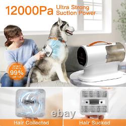 Aspirateur à poils de chien et kit de toilettage pour chien & tondeuse électrique pour chien, puissant à 12000Pa pour animaux de compagnie