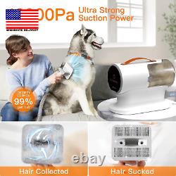 Aspirateur de toilettage pour chiens, aspirateur à poils de chien, aspirateur de toilettage pour animaux de compagnie puissant de 12000Pa pour chiens.