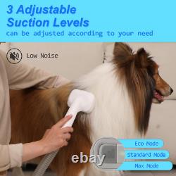 Kit de toilettage pour animaux de compagnie, aspiration de 2L pour les poils de chien à 99%, 5 outils de toilettage pour animaux de compagnie, 3