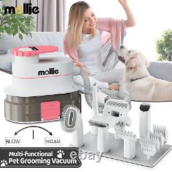 Kit professionnel de toilettage pour animaux de compagnie avec aspirateur et souffleur, sèche-cheveux pour chien et brosse anti-chute de poils.