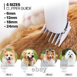 Kit professionnel de toilettage pour animaux de compagnie avec aspirateur et souffleur, sèche-cheveux pour chien et brosse anti-chute de poils.