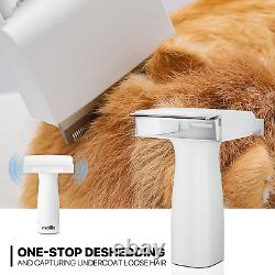 Kit professionnel de toilettage pour animaux de compagnie avec aspirateur et souffleur, sèche-cheveux pour chien et brosse anti-chute de poils.