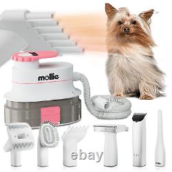 Kit professionnel de toilettage pour animaux de compagnie avec aspirateur et souffleur, sèche-cheveux pour chien et brosse anti-chute de poils.