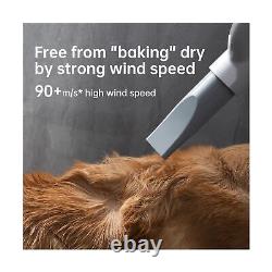 Sèche-cheveux pour chien Souffleur de toilettage Sèche-cheveux pour animaux Sèche-cheveux pour chat Toilettage haute vitesse